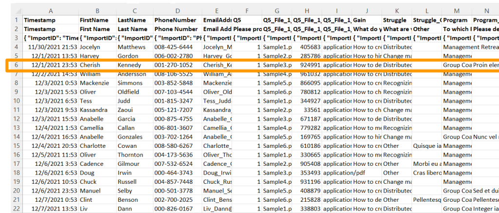 a table in a spreadsheet with a single row highlighted