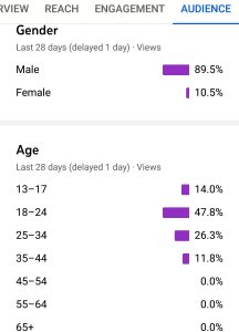 YouTube audience demographic screenshot showing male 89.5% and ages 13-17 at 14%, 18-24 at 47.8%, 25-34 at 26.3%, 35-44 at 11.8%, and all others at 0%